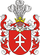 Kosciea