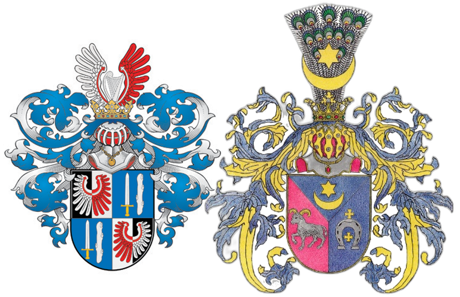 Leliwa Junosha Lubicz Dantysekas