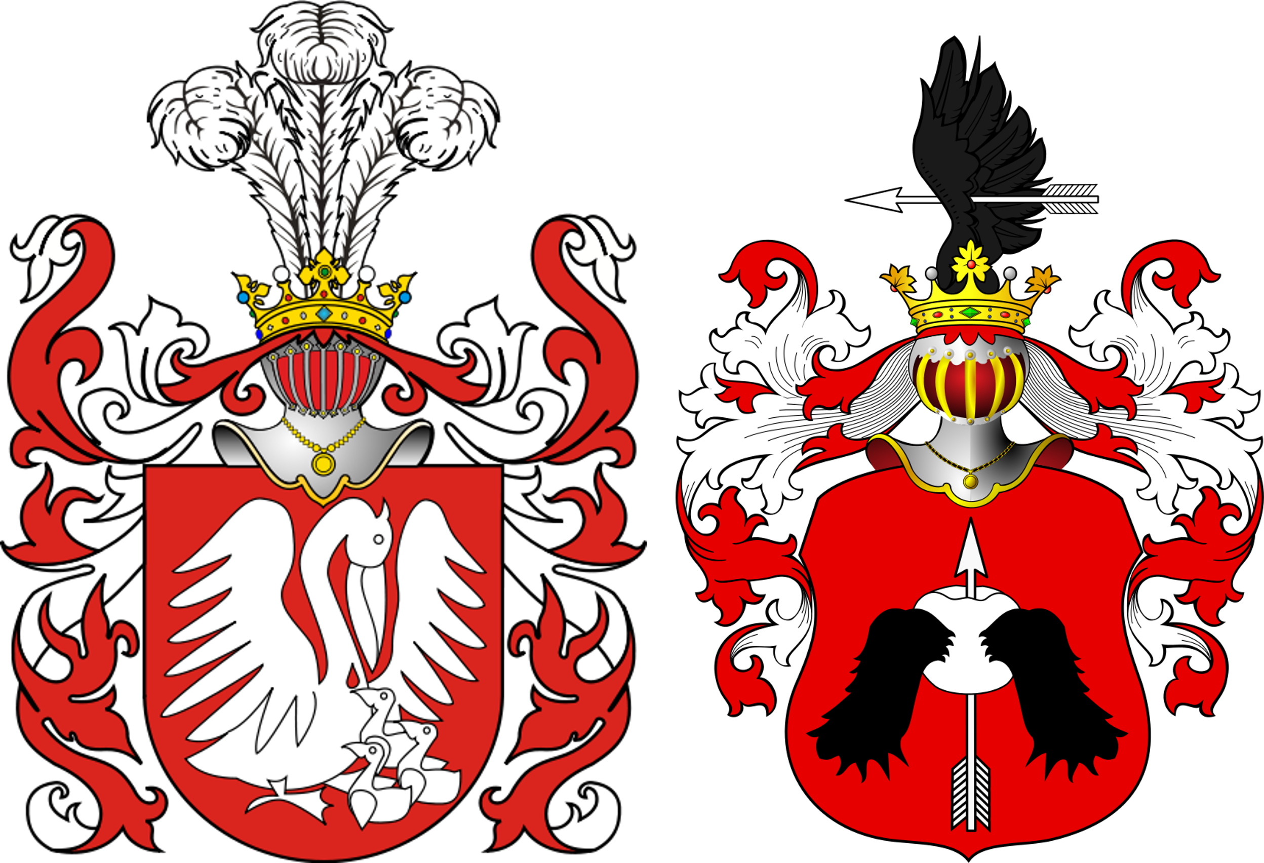 Pelikanas